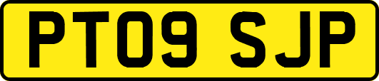 PT09SJP