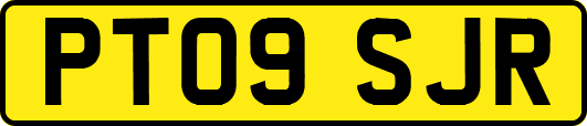 PT09SJR