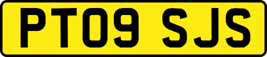 PT09SJS