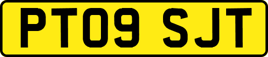 PT09SJT