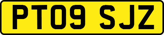 PT09SJZ