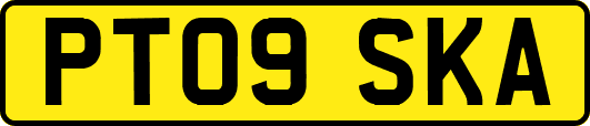 PT09SKA