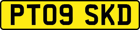 PT09SKD