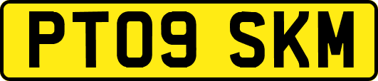 PT09SKM