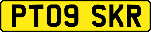 PT09SKR