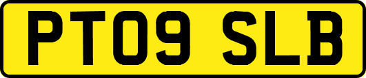 PT09SLB