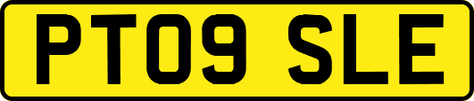 PT09SLE