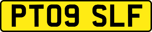 PT09SLF