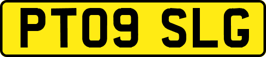 PT09SLG