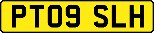 PT09SLH