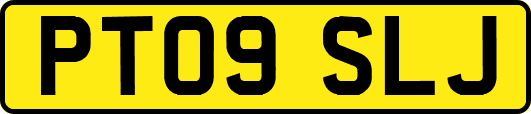 PT09SLJ