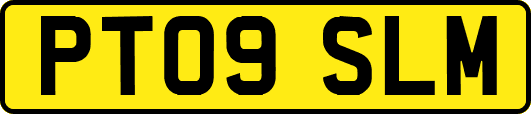 PT09SLM