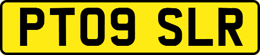 PT09SLR