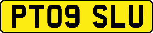 PT09SLU