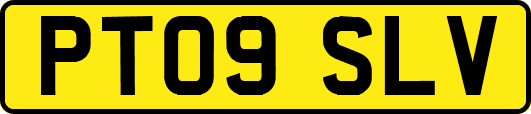 PT09SLV