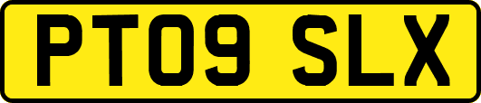 PT09SLX
