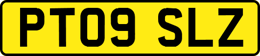PT09SLZ