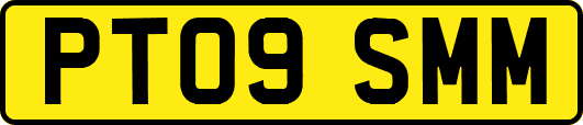 PT09SMM