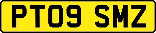 PT09SMZ
