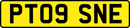 PT09SNE
