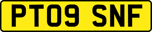 PT09SNF