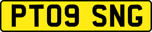 PT09SNG