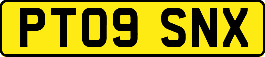 PT09SNX