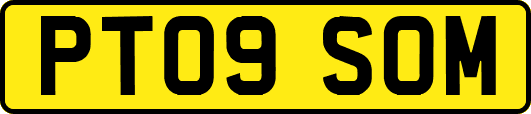 PT09SOM