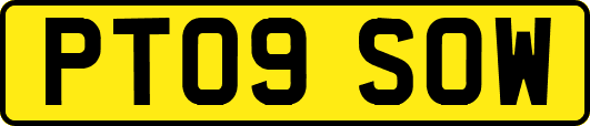 PT09SOW