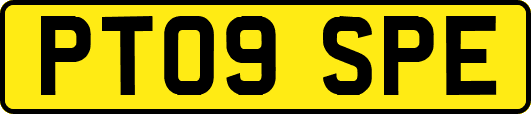 PT09SPE