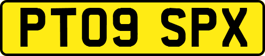 PT09SPX