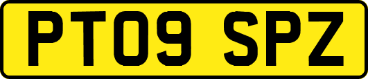 PT09SPZ