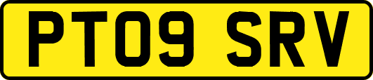 PT09SRV