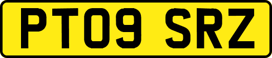 PT09SRZ