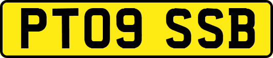 PT09SSB