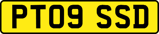 PT09SSD