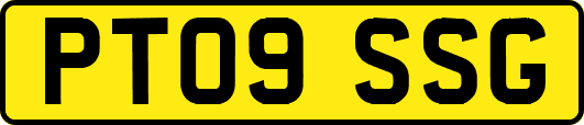 PT09SSG