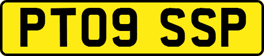 PT09SSP
