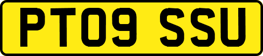 PT09SSU