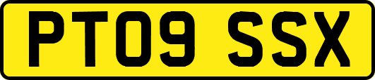 PT09SSX
