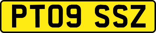 PT09SSZ