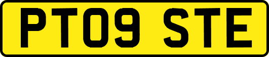 PT09STE