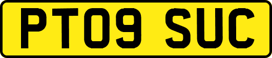 PT09SUC