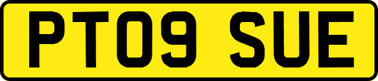 PT09SUE