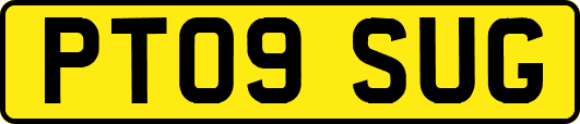 PT09SUG