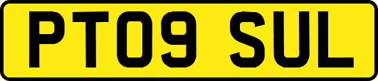 PT09SUL