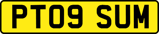 PT09SUM