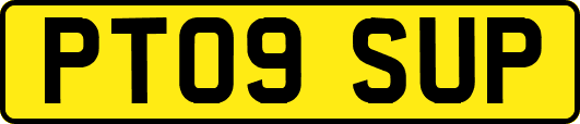 PT09SUP