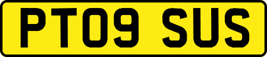 PT09SUS