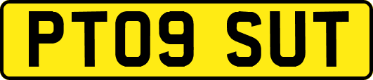 PT09SUT